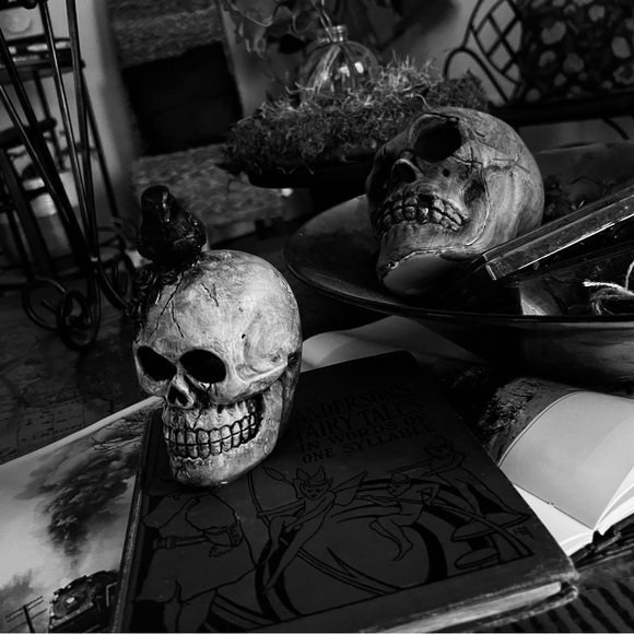 IT’S SHOWTIME | My 1st LIVE Posh Show | $5 Happy Haunts - Picture 3 of 13